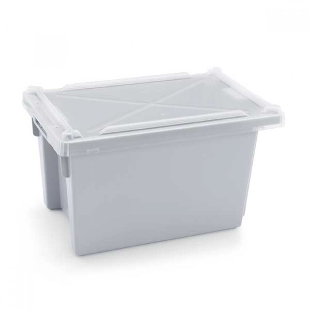 Cutie cu capac, universală, transport, depozitare alimente 51x33x30 cm