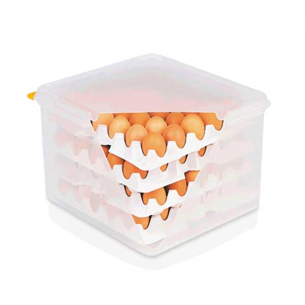 Cutie depozitare oua cu 8 cofraje, 35,4x32,5x20 cm, HACCP