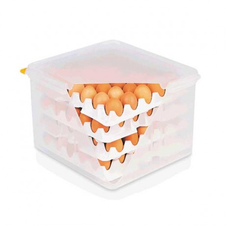 Cutie depozitare oua cu 8 cofraje, 35,4x32,5x20 cm, HACCP
